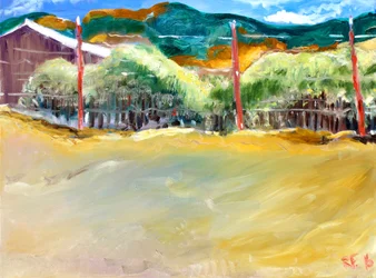 Vinhedo, Sonoma, 2017