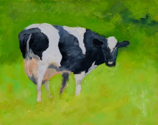 Vaca preta e branca