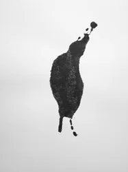 Sem título, 2009 (monotipia)