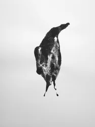 Sem título, 2009 (monotipia)