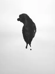 Sem título, 2009 (monotipia)