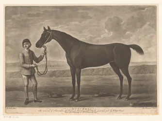 Racepaard conheceu o jóquei Holandesa
