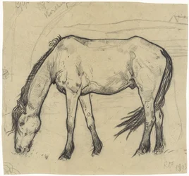 Cavalo de pastoreio em Noordwijk