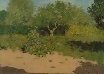 Canto de um jardim com capuchinhas