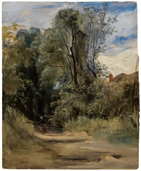 Um caminho na floresta