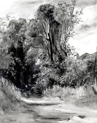 Pista através de uma madeira (painel)