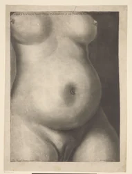 Torso de uma mulher grávida Seis estampas anatômicas de uma gravidez (título da série) Demonstrações de um útero grávido de uma mulher em tempo integral (...) (título da série) Caroli Nicolai Jenty Uteri Praegnantis & ad Partum Maturi Demonstrationes (séri