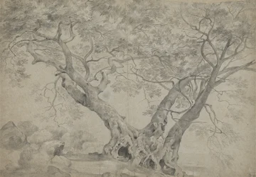 A Arbra Sacra nas margens do Lago Nemi, c.1754-56 (giz preto e branco sobre papel)