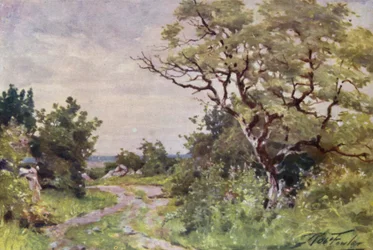 Field Path, perto de Llanrug (cor litho)