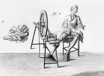Economia rústica, algodão, da enciclopédia por Denis Diderot 1713-84 gravura bw detalhe da foto de 164438