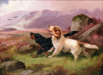 Gundogs (um de um par)