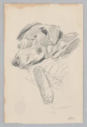 Cadela