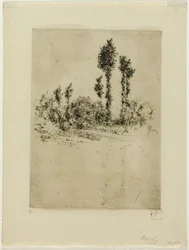 Paisagem inacabada