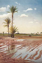 Um campo irrigado, c1880, 1904