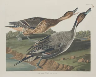 Arrabio, 1834.