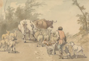 Condução de Ovinos e Vacas