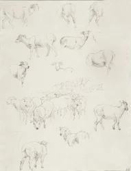 Rebanho de ovelhas, depois de 1794 (grafite)