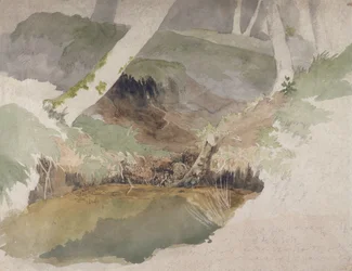 Forest Pool (wc sobre grafite no papel)