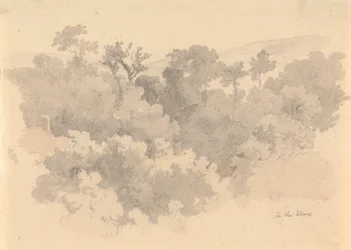 Nos Vaux, Jersey