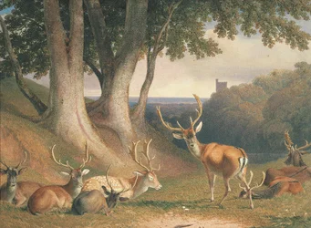 Paisagem com veados, c.1800 (lápis e aguarela sobre papel)