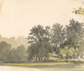 Paisagem com árvores
