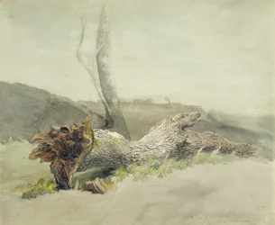 The Fallen Tree, c.1804 (wc sobre grafite em papel de palha)