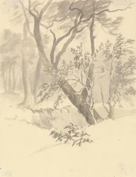 A Madeira