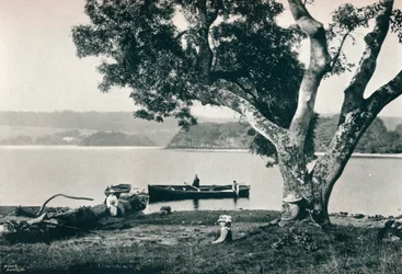 Igreja Ilha, Brânquia Lough, Sligo, c1908