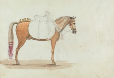 Esboço inacabado de um Cavalo de Sela Elaborada