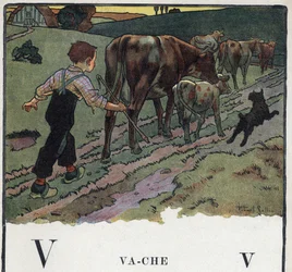O livro infantil "I will read - Methodic and fun alfabeto by a dad" 1926. Ilustração de Robert Salles (1871-1929). Abecedário: letra V como vaca. Um menino ajuda um cão, conduz uma manada de vacas para um campo.