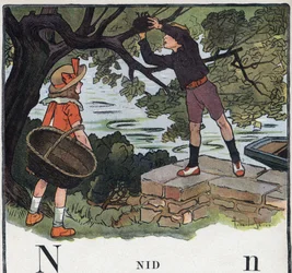 O livro infantil "I will read - Methodic and fun alfabeto by a dad" 1926. Ilustração de Robert Salles (1871-1929). Abecedário: letra N como Ninho. Um menino toma um ninho construído sobre uma árvore.
