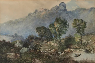 Paisagem com patos-reais