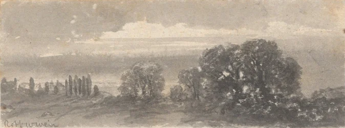 Paisagem - Árvores