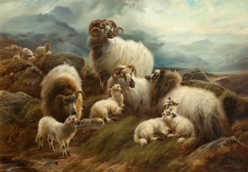 Ovelhas em uma paisagem, 1894