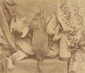 Natureza morta e bordado, 1856.