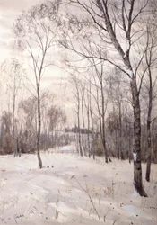 O bosque de inverno