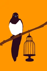 Variedade de jardim Magpie, 2022 (digital)