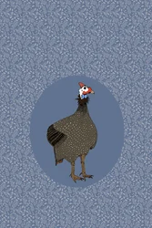 Galinha-d