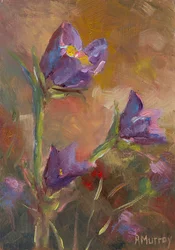 Prairie Crocus, 2023 (óleo sobre papel)