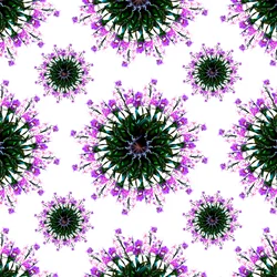 Mundo das Orquídeas
