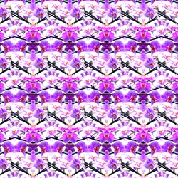 Repetição de orquídea roxa