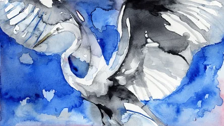 Garça-azul em voo