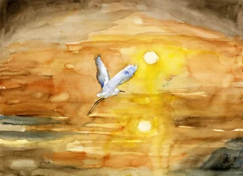 O Voo da Garça ao Pôr do Sol Dourado