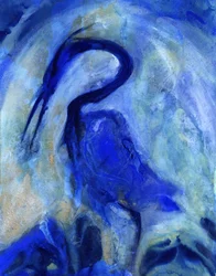 Garça-azul elegante