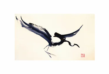 Grou de Tinta Voadora