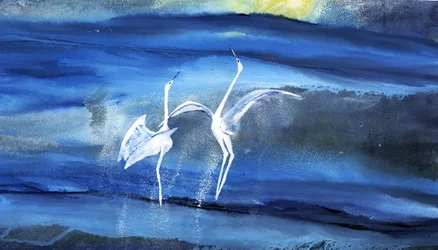 A dança graciosa da garça-branca