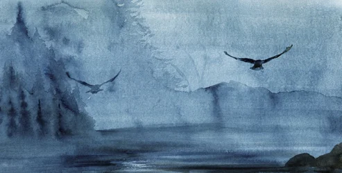 Voo sobre o Lago Misty