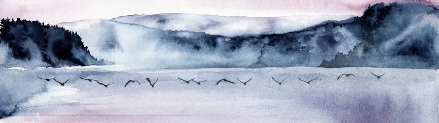 O Voo das Aves da Montanha Ennevoada