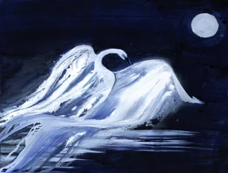 Cisne ao luar