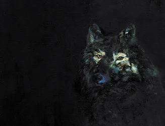 Misterioso lobo preto